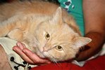 $IMG_6204.jpg