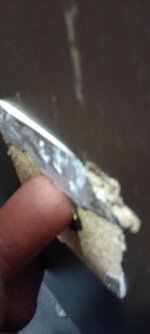 1000054408.jpg 1000054408.jpg