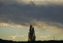 062.JPG
