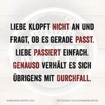 FB_IMG_1711746267376.jpg