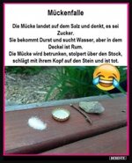 Screenshot_20240228-152641_Samsung Internet.jpg