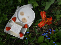 Kaffee-0504.jpg
