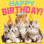 bday-865.gif bday-865.gif