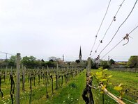 20240409 (3).jpg