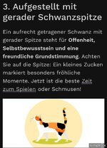 Screenshot_2024-04-14-20-31-33-188_com.opera.touch-edit.jpg