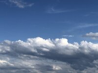 F671CE50-DB1C-48F8-B748-D89F8E6DEEDF.jpeg