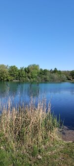 IMG_20240427_094016.jpg