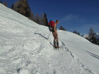 1170196.jpg 1170196.jpg