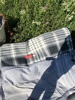 IMG_3490.jpeg