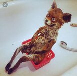 Screenshot_20230719_214447.jpg Screenshot_20230719_214447.jpg