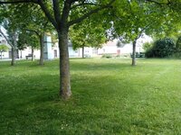 IMG_20240507_160014_HDR.jpg IMG_20240507_160014_HDR.jpg