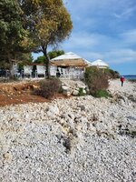 20240508_162919.jpg 20240508_162919.jpg