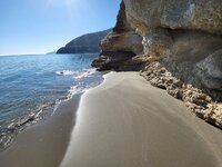 imgpsh_fullsize_anim (1).jpg