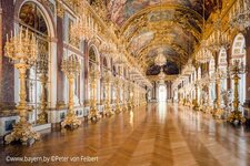 1717021995781.jpeg 1717021995781.jpeg