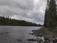 IMG_20240617_083731.jpg