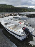 IMG_20240618_111959.jpg