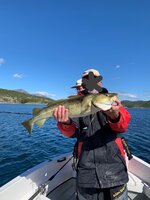 IMG_20240626_105203.jpg