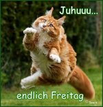 IMG_2741.jpeg