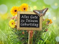 IMG_5948.jpeg