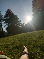 IMG_20240706_190526.jpg IMG_20240706_190526.jpg