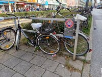 20231028 (42).jpg 20231028 (42).jpg