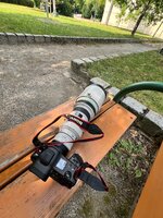 IMG_1289.jpeg IMG_1289.jpeg