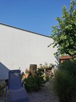 IMG_20240710_085159.jpg