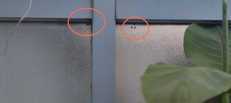 IMG_20240710_203905.jpg IMG_20240710_203905.jpg