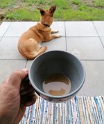 IMG_20240722_081904_edit_1703591503421822.jpg IMG_20240722_081904_edit_1703591503421822.jpg