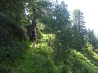 1000033603.jpg 1000033603.jpg