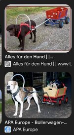 Screenshot_2024-08-31-09-20-24-965-edit_com.android.chrome.jpg Screenshot_2024-08-31-09-20-24-965-edit_com.android.chrome.jpg