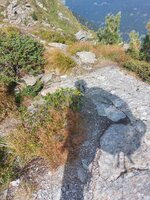 1000033847.jpg 1000033847.jpg