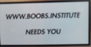 Boobs institute.jpg