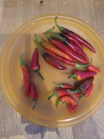 1000038751.jpg 1000038751.jpg