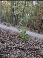 1000005174.jpg 1000005174.jpg