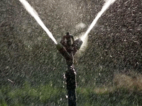 An_Irrigation_sprinkler_watering_a_garden.gif An_Irrigation_sprinkler_watering_a_garden.gif