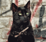 3626807-bde46f612ac72646d1d0ff72c2c4e25d.gif 3626807-bde46f612ac72646d1d0ff72c2c4e25d.gif