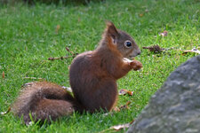 DSC_5241.jpg DSC_5241.jpg