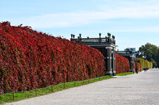 DSC_5067.jpg DSC_5067.jpg