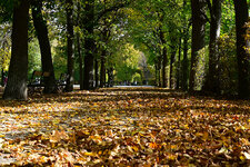 DSC_4995.jpg DSC_4995.jpg