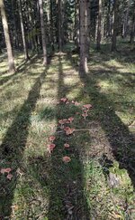 1000060351.jpg 1000060351.jpg