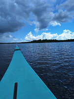 20231021_123725.jpg 20231021_123725.jpg