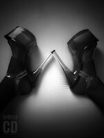 IMG_2224.jpeg IMG_2224.jpeg