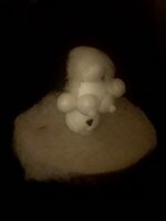 IMG_5984.jpeg IMG_5984.jpeg