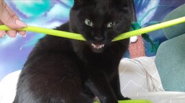 IMG_20221002_084902.jpg IMG_20221002_084902.jpg