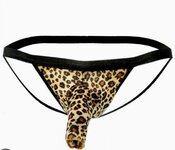 IMG_5987.jpeg IMG_5987.jpeg