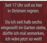 regen.jpg
