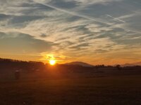IMG_20241101_162739.jpg