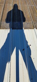 20241129_113944.jpg 20241129_113944.jpg