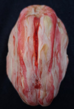 1735133925379.png 1735133925379.png